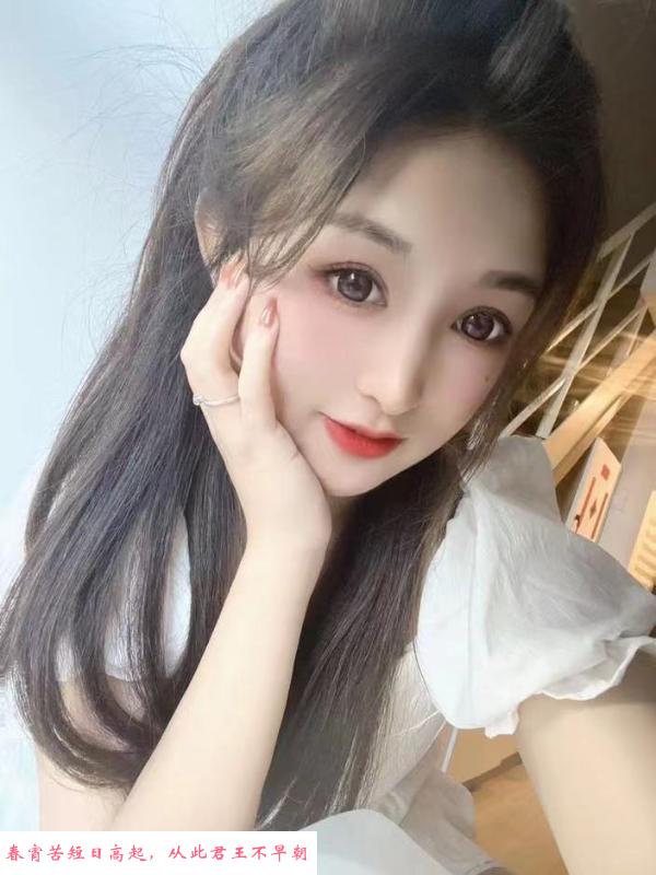 下沙猫猫 第1张