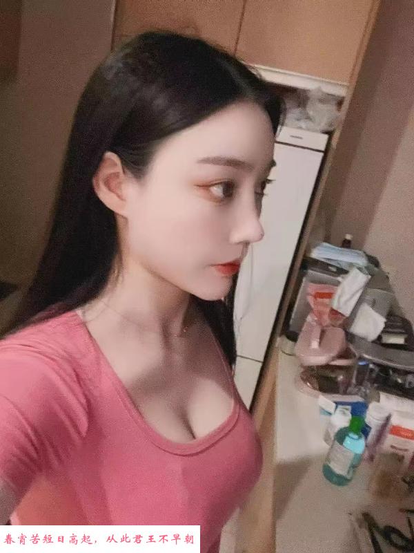 南开野蔷薇 第1张