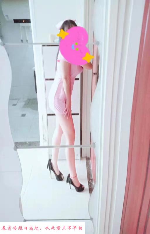 bt玫瑰 第2张