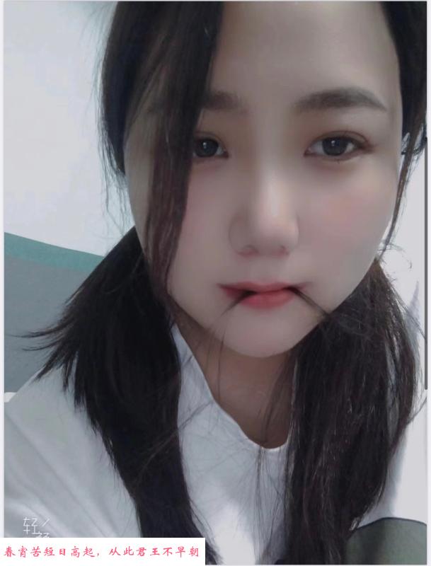 清湖小章鱼 第2张