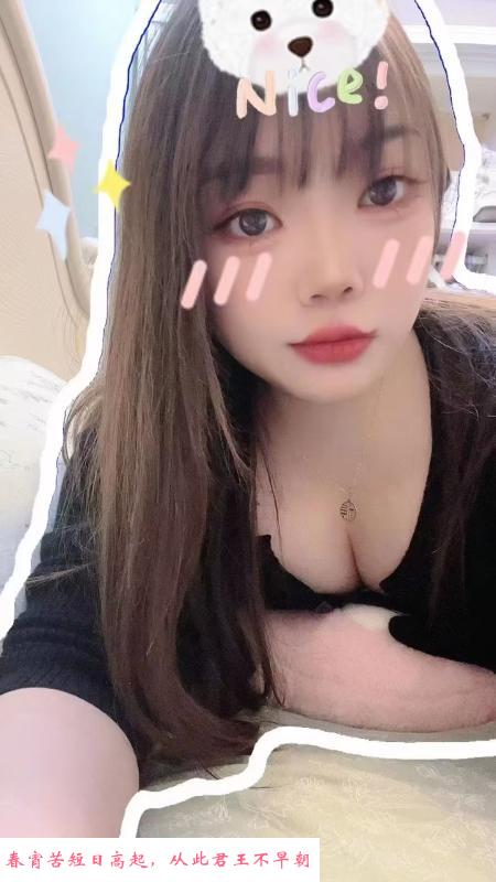 蜀山猪猪 第2张