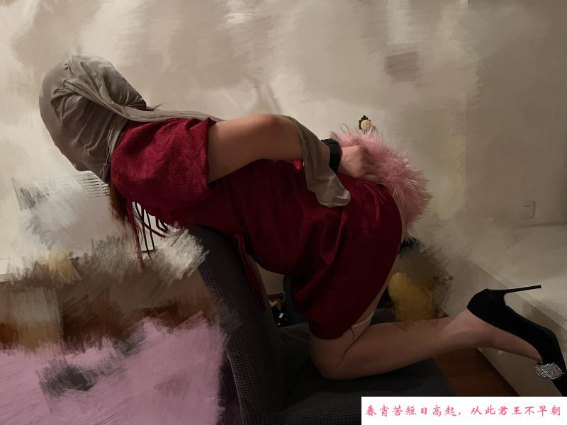 杭州女王母后双sm 第1张
