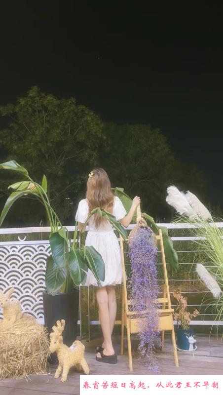 管城区丝袜情趣小美女 第3张