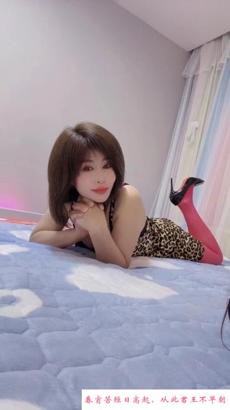 江宁熟女 第1张
