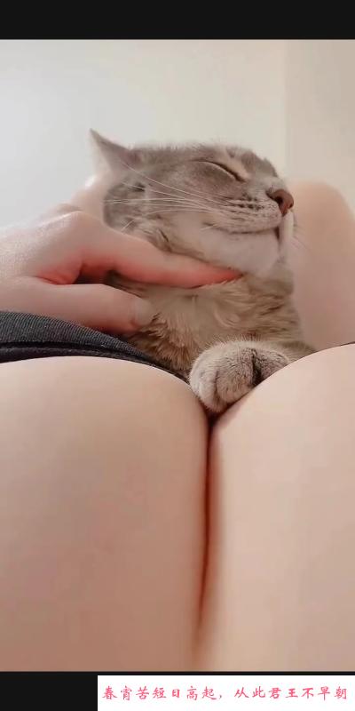 巨乳少妇f杯 第1张