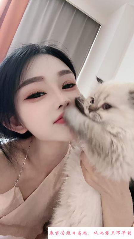 杭州默默 第1张