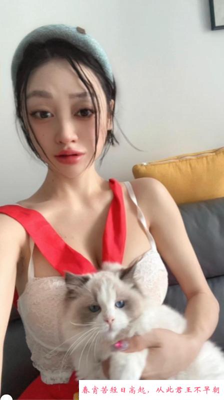 哈尔滨小晴儿 第2张