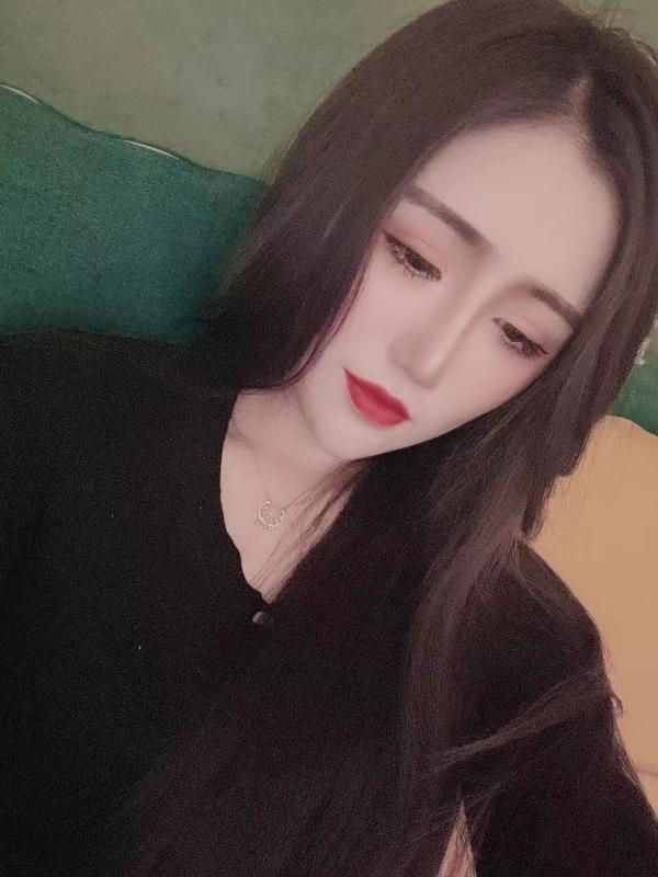 厦门猫猫 第3张